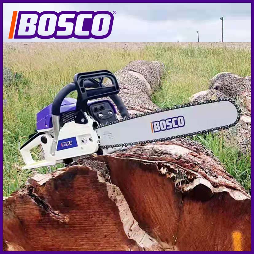 ibosco.vn